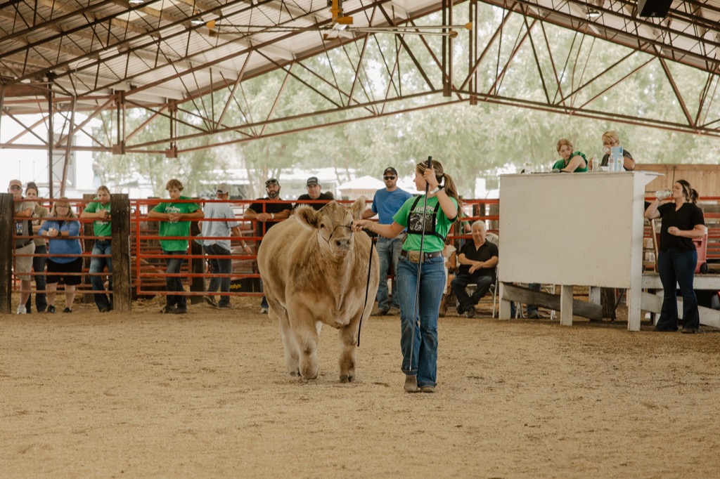 4H & FFA Photos